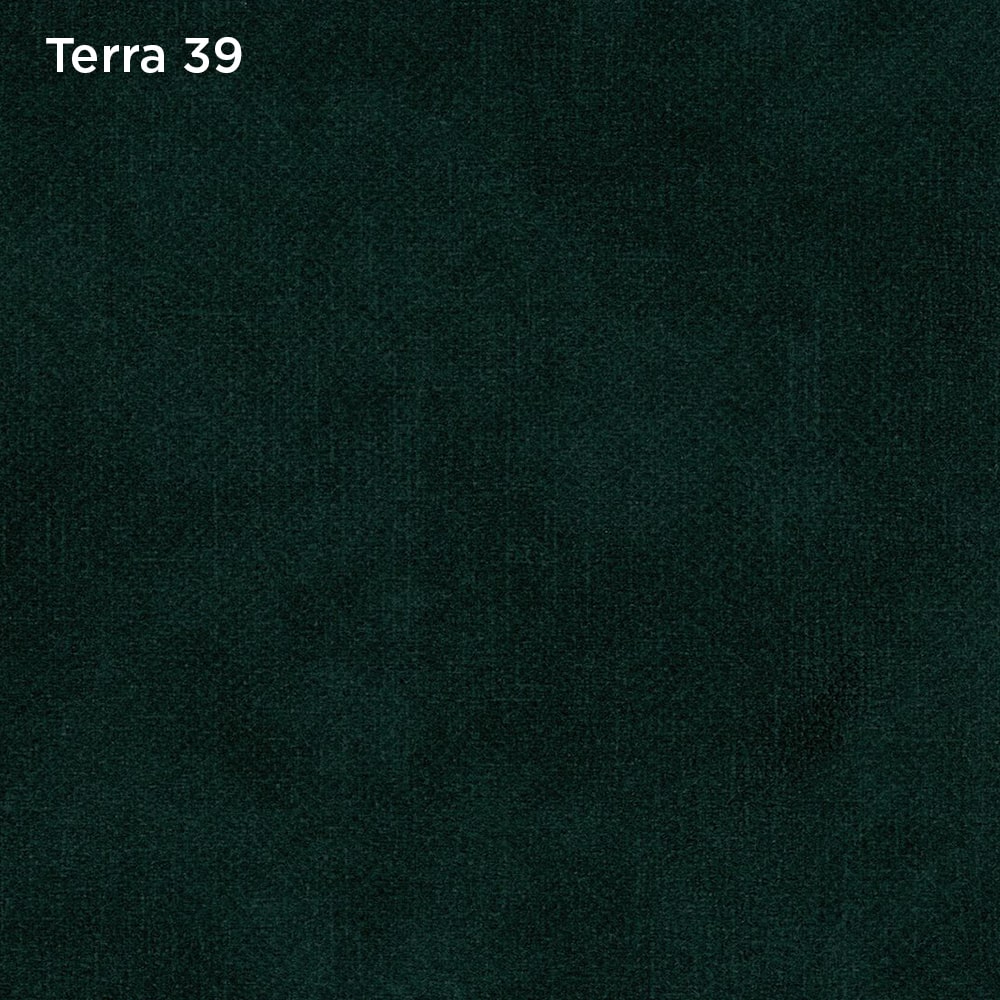 Terra 39