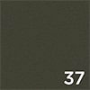 Orinoco 37