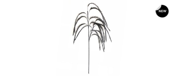018462-front-new