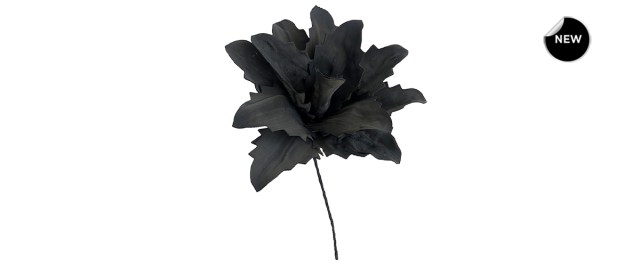018463-front-new