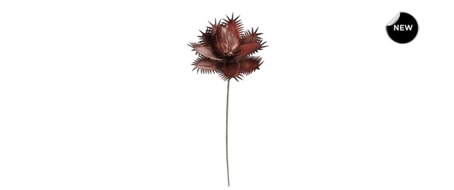 022093-front-new