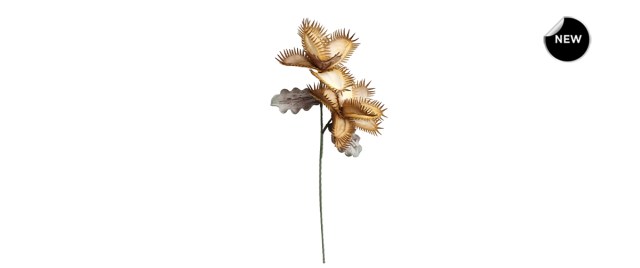 022099-front-new