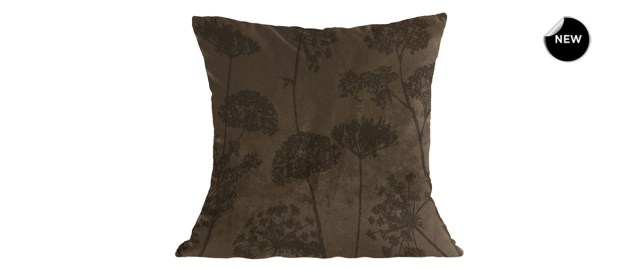 025337-front-new