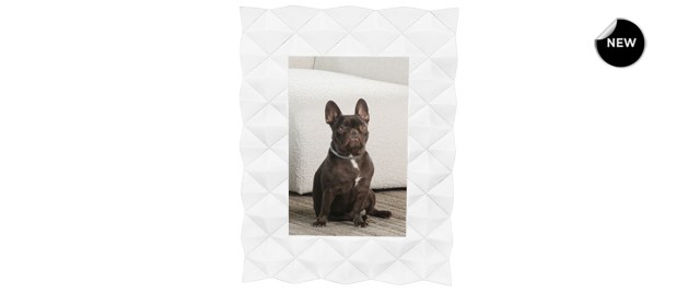 034487-VIRO-COCO-front-new