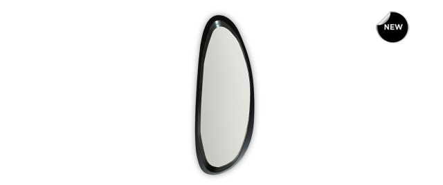 11-0456-SALOMONE-front-new
