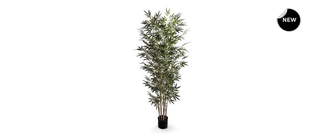 Bamboo-tree-210-front-new