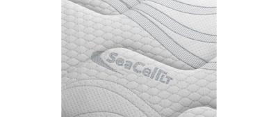 Ocean Freedom 120x200cm