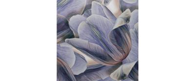 Flowers Textiles