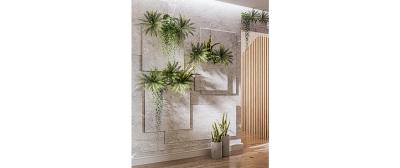 Boston Fern