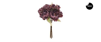 Peony