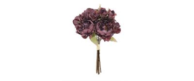 Peony