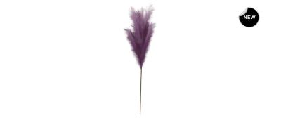 Feder Purple
